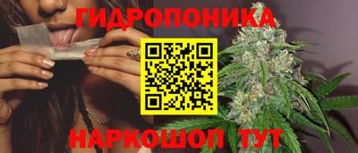 шишки Гусев